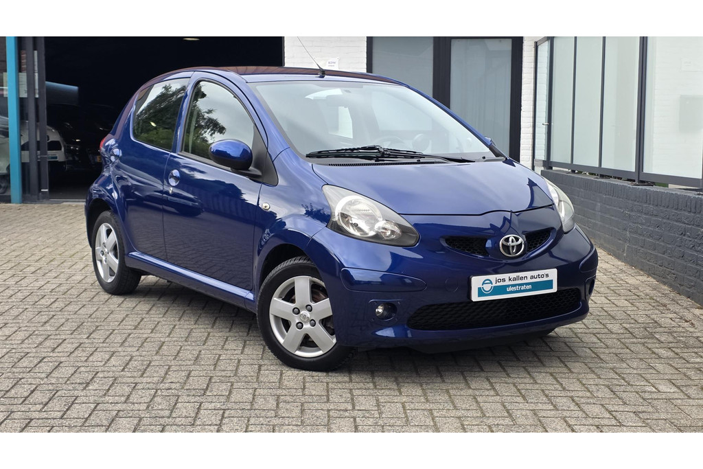 56141877